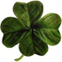 Avatar for anitris