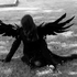 DienFallenEngel 的头像