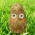 Avatar för NaturalPotato