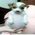 Th1_lucas 的头像