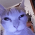Avatar for MaliciousEntity