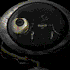 Avatar di rothrigo
