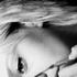 Avatar for podnies_noge