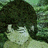 Avatar for ryuuji7