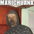 Avatar de forgottenduck