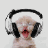 Avatar for gyopza
