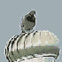 Avatar for zwik