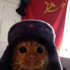 cardrgan 的头像