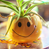 TheGreatMurloc さんのアバター