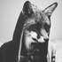 chachathefox さんのアバター