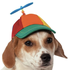 polygoswag 的头像