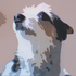 Avatar for stopierwszy