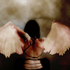 Avatar for jossangel