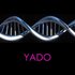 Avatar for YADO