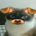 Аватар для kakawane