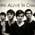 Born Alive In Chaos 的头像