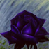 Avatar for purpleflower54