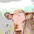 Avatar for oh my cow!