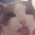 Avatar för tomathan4