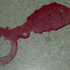 Avatar for andoconhambre