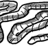 Avatar for mifhortunach