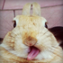 Avatar di xgrannycorex