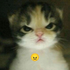 Avatar for chhucklenuts