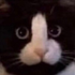 Avatar for SubwayQueen