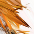 Avatar de Rockstar_North