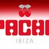 Pacha Ibiza için avatar