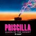 Avatar för Original Cast - Priscilla Queen Of The Desert - The Musical Original Cast Recording