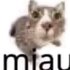 Avatar for Rattiemo