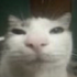 Avatar für Redanta