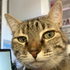 Avatar for lucasdaljovem