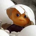 mamzelle_bulle 的头像