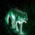 Avatar für WolfFromMercury