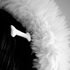 Avatar for qeyoku