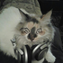 Avatar for Zlushiea