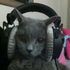 Avatar for LilacSonder18