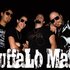 Avatar for Buffalo Mad