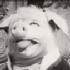 toxic_pig 的头像
