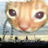 Avatar for CojilGone