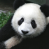 Avatar for kuba_1992
