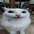 Avatar für Ieaving_tonight