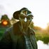 Avatar for MF DOOM