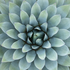Avatar for aMondayWarrior