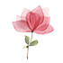 Avatar for ArmyBlinkeu