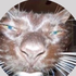 Avatar for MarcosBoutti