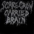 Avatar for scarecrow carried brain