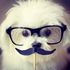 Avatar de amkewl246